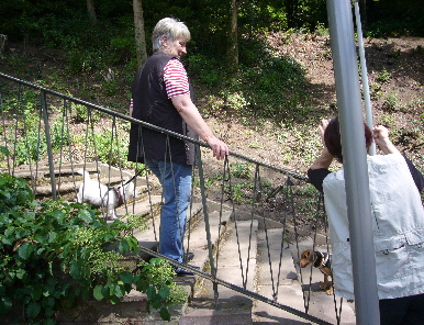 P1040861